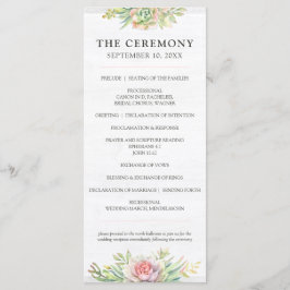 水素朴色の多肉性の砂漠のサボテン結婚ズ プログラム