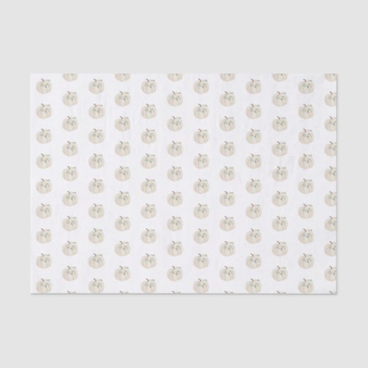 水素朴色オータムカボチャフローラ 薄葉紙 (正面)