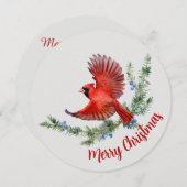 水素朴色バードレッド(鳥)ショウジョウコウカンチョウクリスマス シーズンカード (正面/裏面)