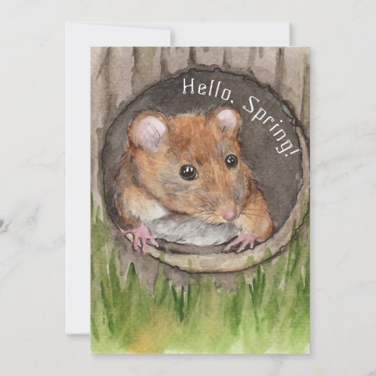 水素朴色マウス セーブザデート (正面)