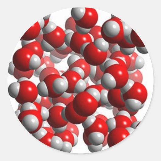 水細胞 ラウンドシール (正面)
