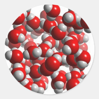 水細胞 ラウンドシール