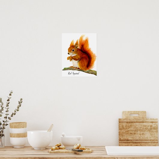 水絵を描色野生生物芸術の赤リス ポスター (キッチン)