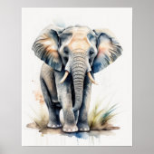水絵画色の象5:4 ポスター (正面)