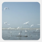 水自然飛んでいるのバレエで美しい鶴 スクエアシール (正面)