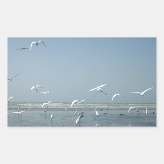 水自然飛んでいるのバレエで美しい鶴 長方形シール (正面)