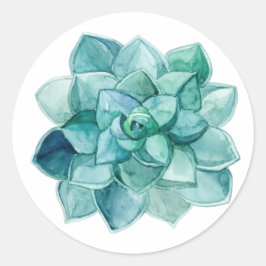 水色で多肉質である ラウンドシール