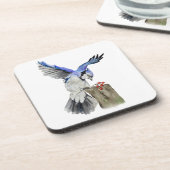 水色のウッドランドの鳥のブルージェイ コースター (左側)