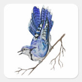 水色のウッドランドの鳥のブルージェイ スクエアシール (正面)