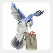 水色のウッドランドの鳥のブルージェイ スクエアシール (正面)