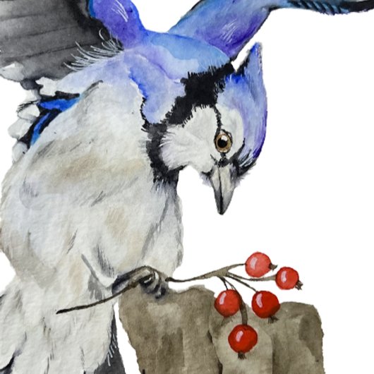 水色のウッドランドの鳥のブルージェイ ストーンコースター