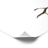 水色のウッドランドの鳥のブルージェイ ポスター (コーナー)