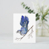 水色のウッドランドの鳥のブルージェイ ポストカード (スタンド正面)