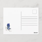 水色のウッドランドの鳥のブルージェイ ポストカード (裏面)