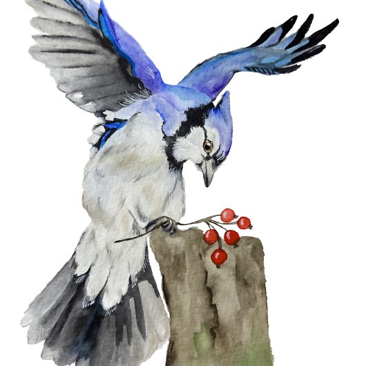 水色のウッドランドの鳥のブルージェイ ラウンドクッション