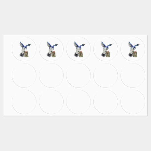 水色のウッドランドの鳥のブルージェイ ラベル (シート)