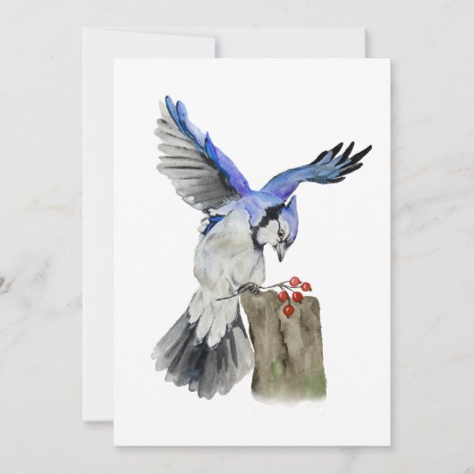 水色のウッドランドの鳥のブルージェイ 招待状 (正面)