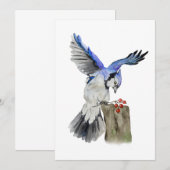 水色のウッドランドの鳥のブルージェイ 招待状 (正面/裏面)