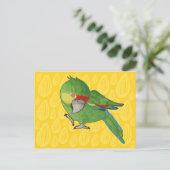 水色のオウム ポストカード (スタンド正面)