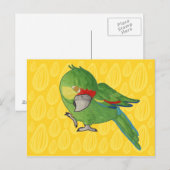 水色のオウム ポストカード (正面/裏面)