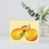 水色のフルーツ黄色のナシ果実 ポストカード (スタンド正面)