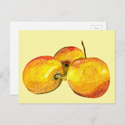 水色のフルーツ黄色のナシ果実 ポストカード (正面/裏面)