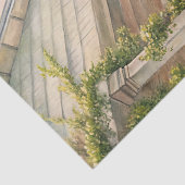 水色の居心地の良いホワイトハウスピンクの牡丹の庭 薄葉紙 (詳細)