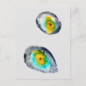 水色の抽象芸術貝 ポストカード (正面)