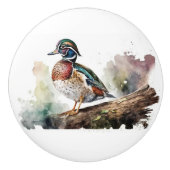 水色の木のアヒル セラミックノブ (正面)