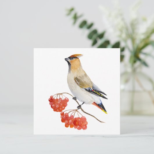 水色の森の鳥の放浪 (スタンド正面)