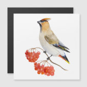 水色の森の鳥の放浪 (正面/裏面)