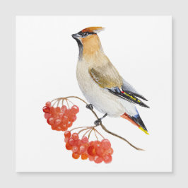 水色の森の鳥の放浪