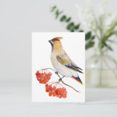 水色の森の鳥の放浪 シーズンポストカード (スタンド正面)