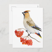 水色の森の鳥の放浪 シーズンポストカード (正面/裏面)