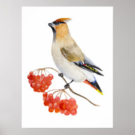 水色の森の鳥の放浪 ポスター