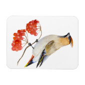 水色の森の鳥の放浪 マグネット (横)