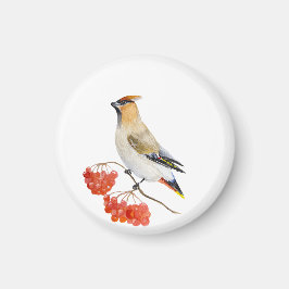 水色の森の鳥の放浪 マグネット