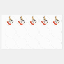 水色の森の鳥の放浪