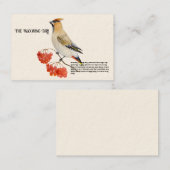 水色の森の鳥の放浪 名刺 (正面/裏面)