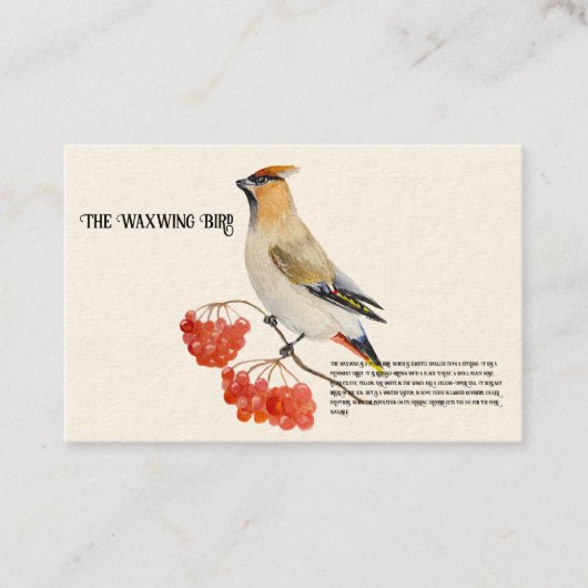 水色の森の鳥の放浪 名刺 (正面)