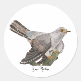 水色の森林鳥 ラウンドシール