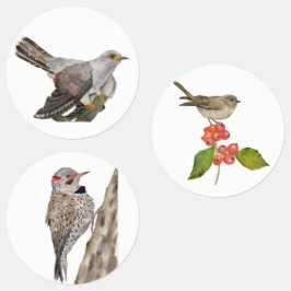 水色の森林鳥 ラベル