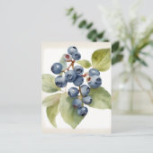 水色の繊細なブルーベリー ポストカード (スタンド正面)