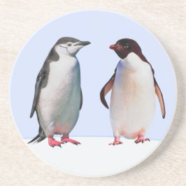 水色の背景の美しいペンギンのつがい コースター