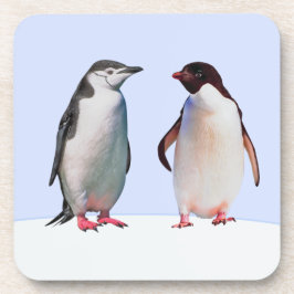 水色の背景の美しいペンギンのつがい コースター