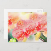 水色の蘭 ポストカード (正面/裏面)