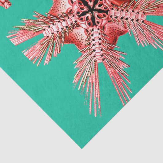 水色の青い海の生活の中で赤いシーホースとシースター 薄葉紙 (詳細)