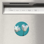 水色の青い背景に白いチューリップの花 マグネット (インサイチュ (食洗機))