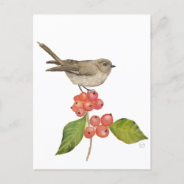 水色の鳥「シルビア・クルカ」 シーズンポストカード