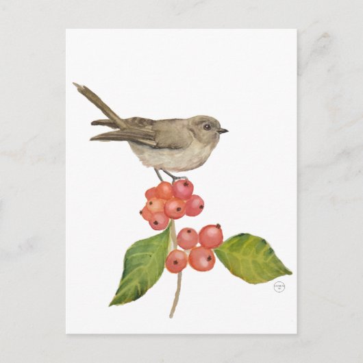 水色の鳥「シルビア・クルカ」 シーズンポストカード (正面)